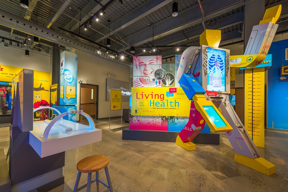 Backman Vidcom, Discovery Centre, children's museum