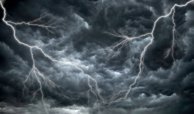 8 Times Nature Got in the Way of an AV Installation, slide 3