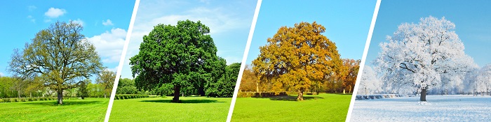 8 Times Nature Got in the Way of an AV Installation, slide 2