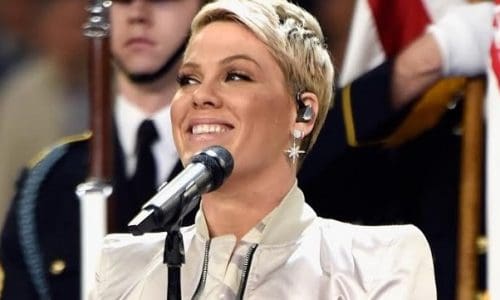 Sennheiser Digital 6000, P!nk Super Bowl performance