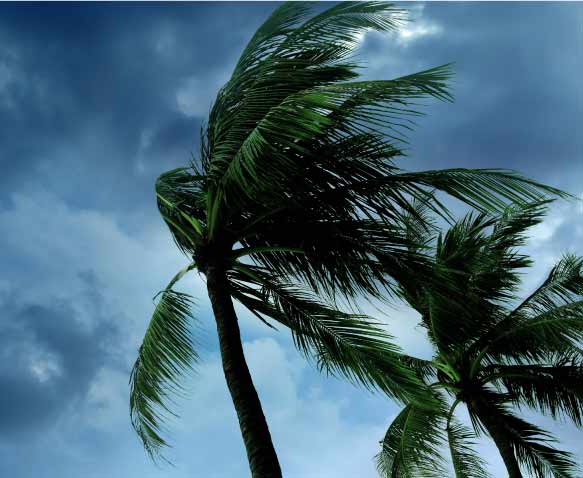 Hurricane Season, ConnectWise