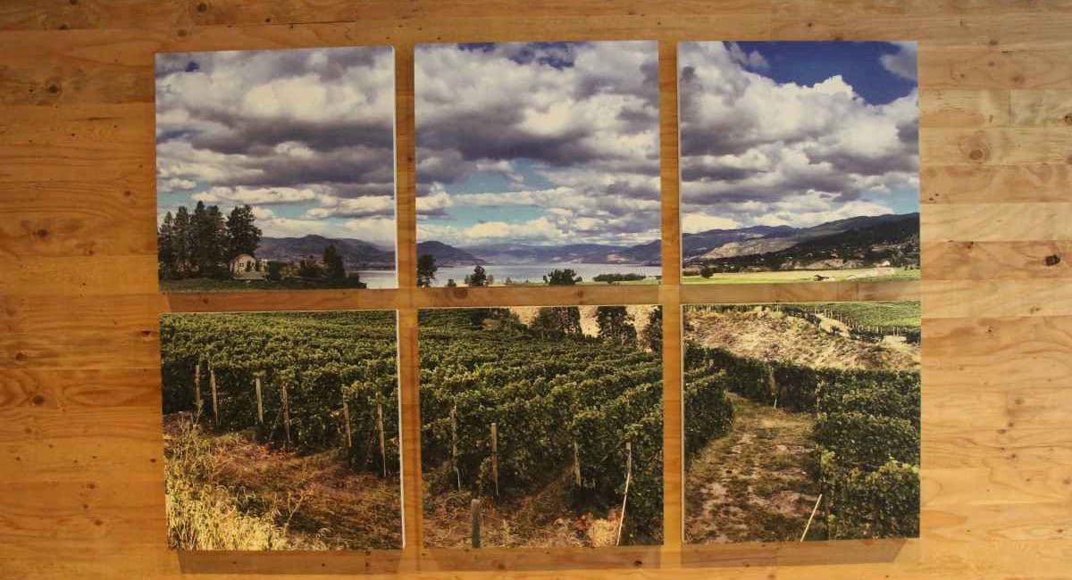 Atmosphere at Sandhill Winery Is Tasteful with Help from Primacoustic Paintables