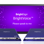 BrightVoice