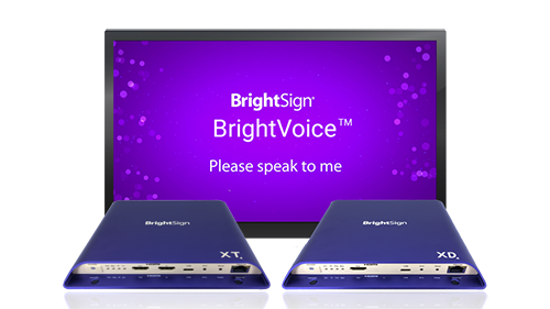 BrightVoice