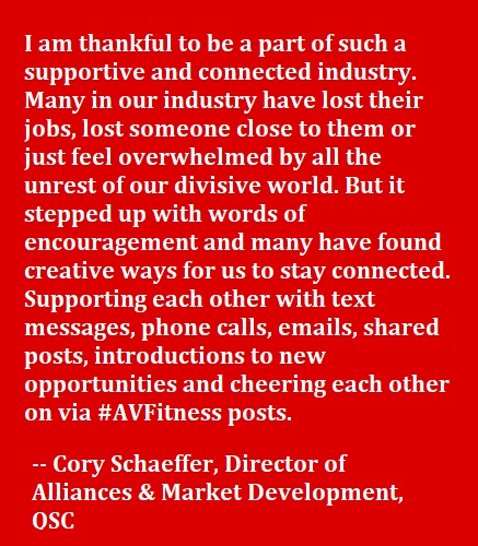 After the Toughest Year in Recent Memory, This is What the AV Industry is Thankful For, slide 13