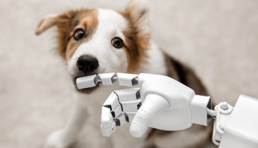 artificial intelligence dog treats