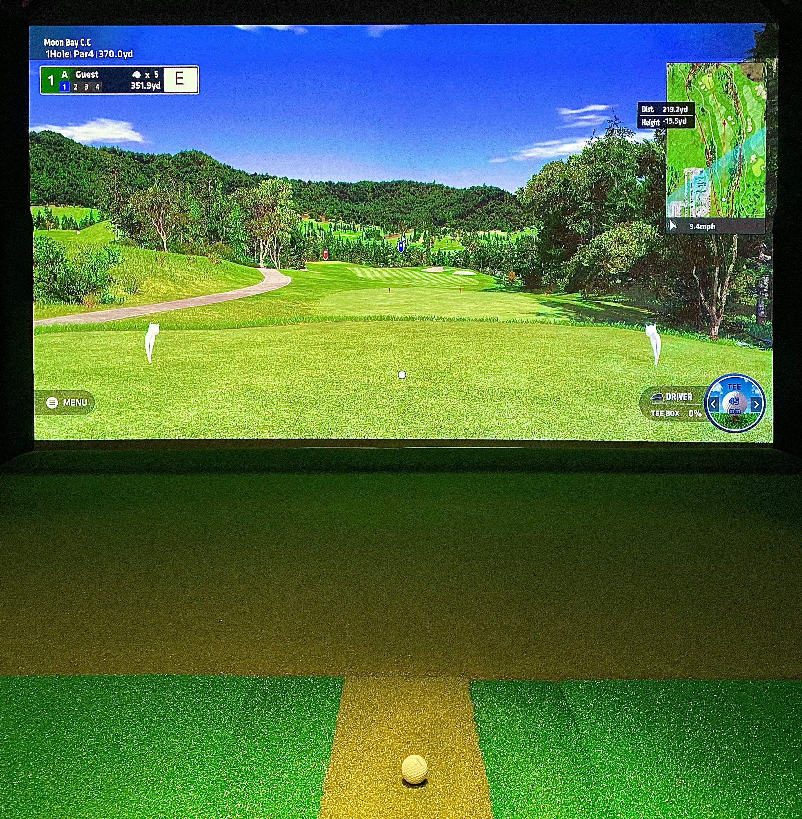 Golf Simulation Projector