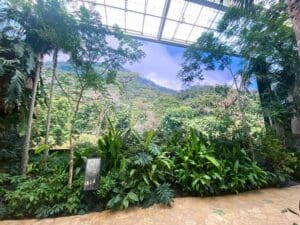 Trees and bushes are structured alongside a brown dusty path. Behind the foliage is a video screen with a hilly display that blends with the foreground.