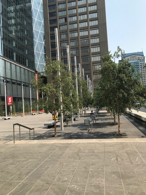 Massive AtlasIED Sound-Masking Rollout in Calgary’s Tallest Building, slide 6