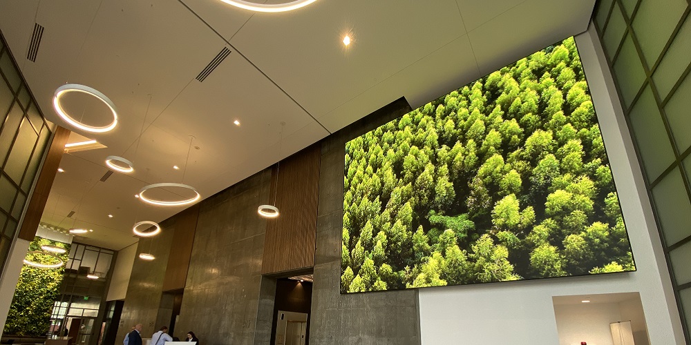 Sharp NEC Display Solutions Achieves Stunning Visuals for Avison Young Building