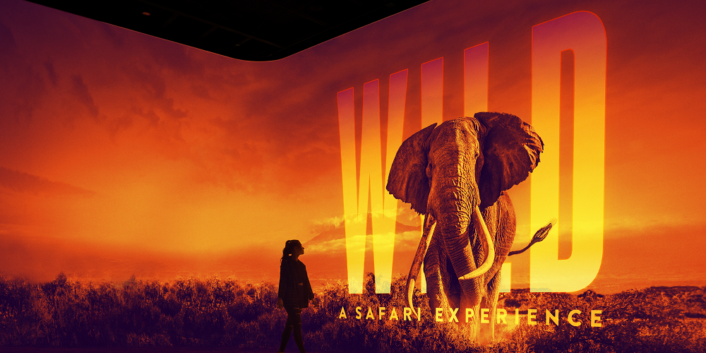 Illuminarium Atlanta poster. A silhouette observes an elephant at sunset. The words "WIL: A Safari Experience" appear at the bottom.