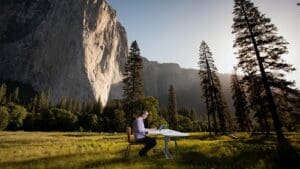 Person working on a desk surrounded by nature.