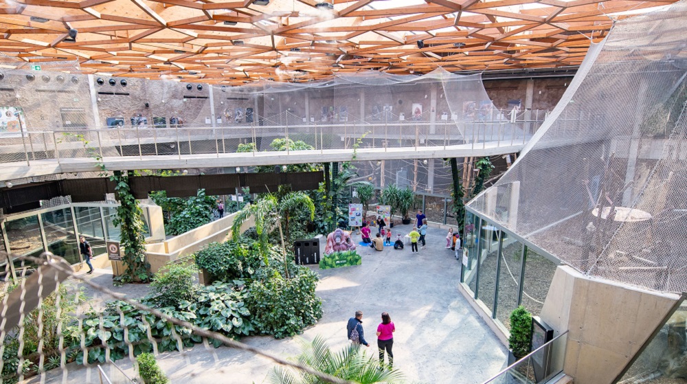 Ashly Audio speakers outfitted inside the Łódź zoo.