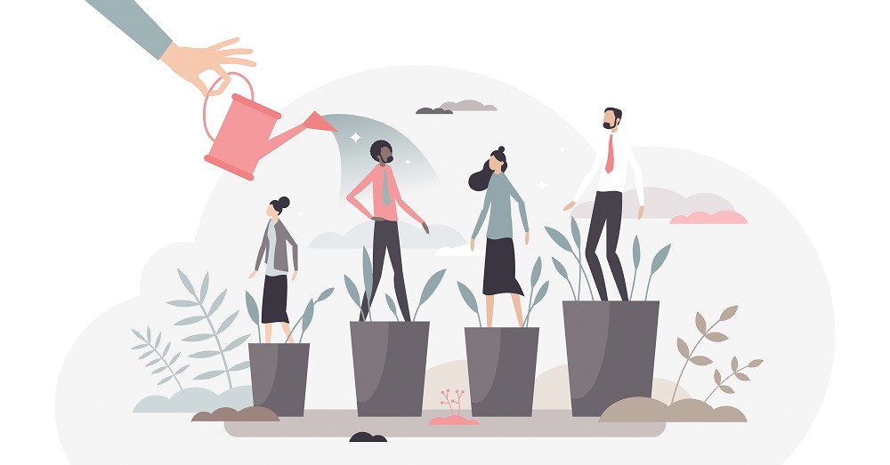 Developing talent and professional training for personal growth tiny person concept, transparent background.