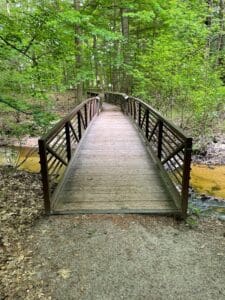 bridge in woods