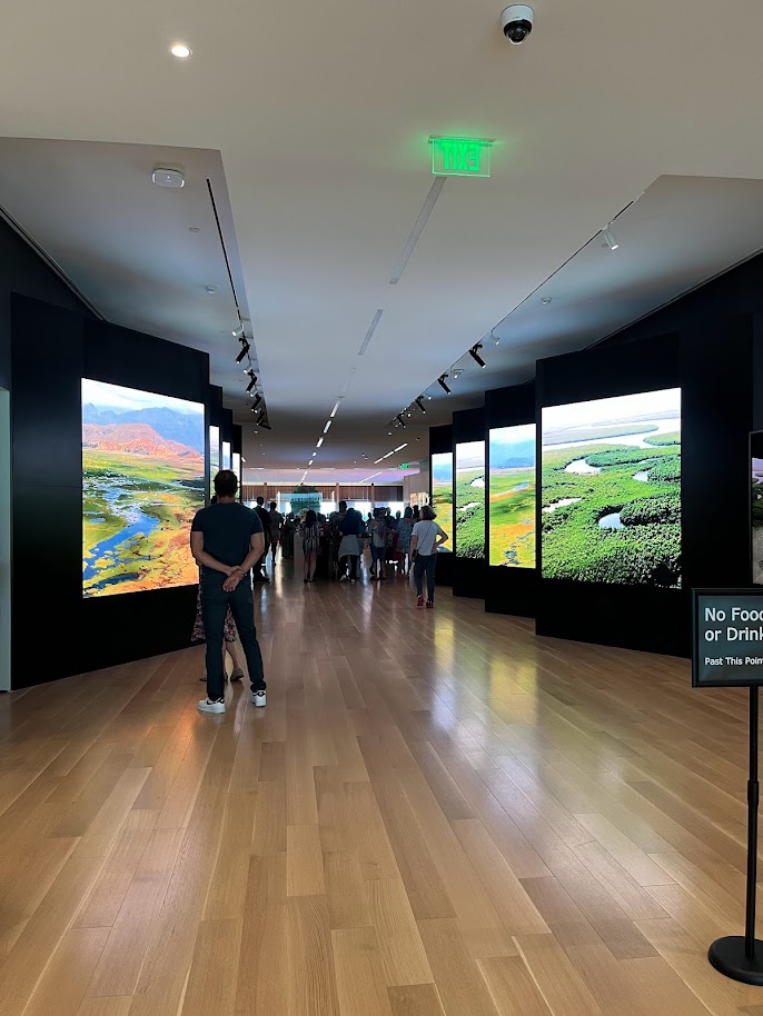 IAAM Elevates African American Diaspora With Sony Technology, slide 2