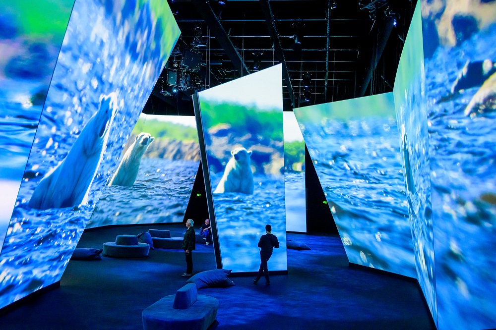 TDC & HIVE: BBC Earth’s Spectacular Melbourne Exhibit, slide 6