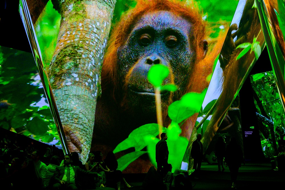 TDC & HIVE: BBC Earth’s Spectacular Melbourne Exhibit, slide 5
