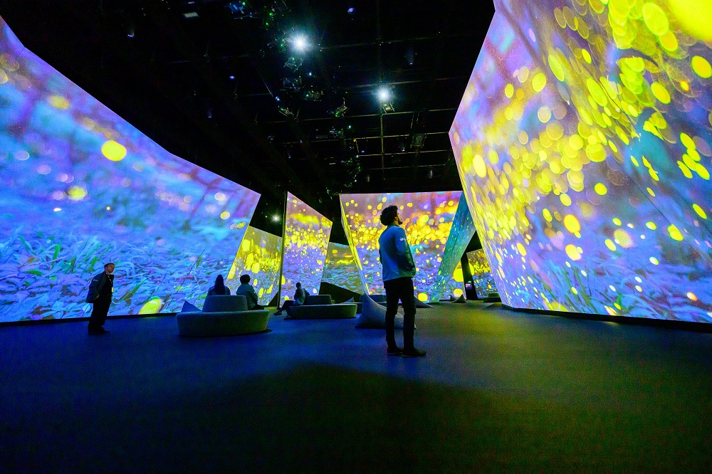 TDC & HIVE: BBC Earth’s Spectacular Melbourne Exhibit, slide 4