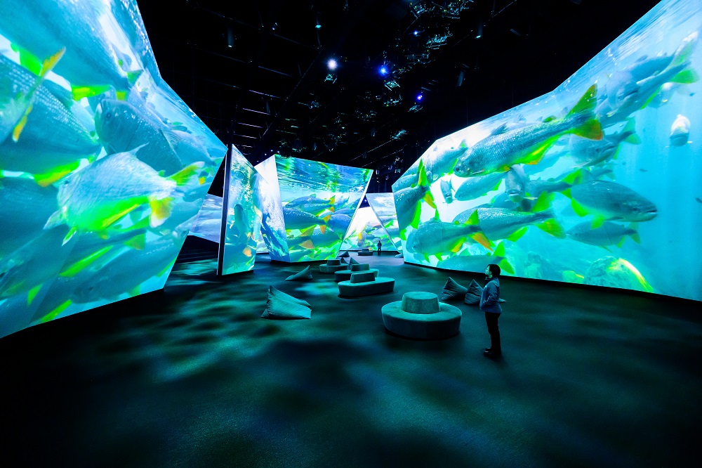 TDC & HIVE: BBC Earth’s Spectacular Melbourne Exhibit, slide 3