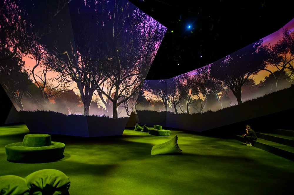 TDC & HIVE: BBC Earth’s Spectacular Melbourne Exhibit, slide 2