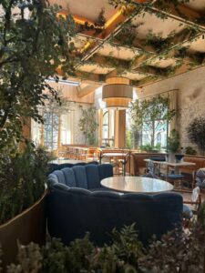 LAVO MEXICO 2