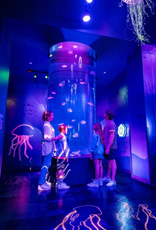 Visitors at the Jellyfish exhibit