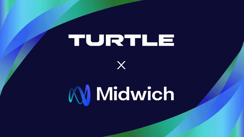 Midwich x Turtle 800x400px
