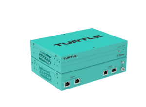 Dante Domain Bridge 2_800px