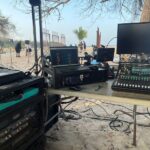 Turtle AV Survivor Québec 4