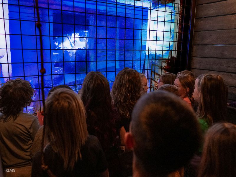 SNA Displays, Electrosonic Build Motion-Based Museum Experience in Montana, slide 7