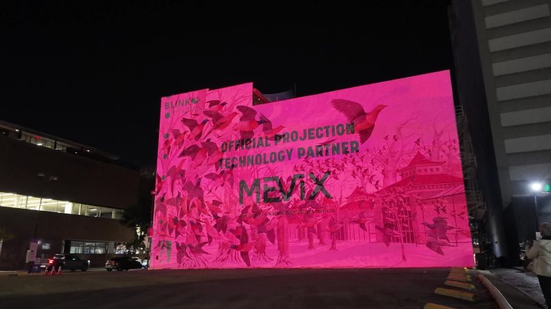 BirdMural_Night_06_MEViX_Partner_800px