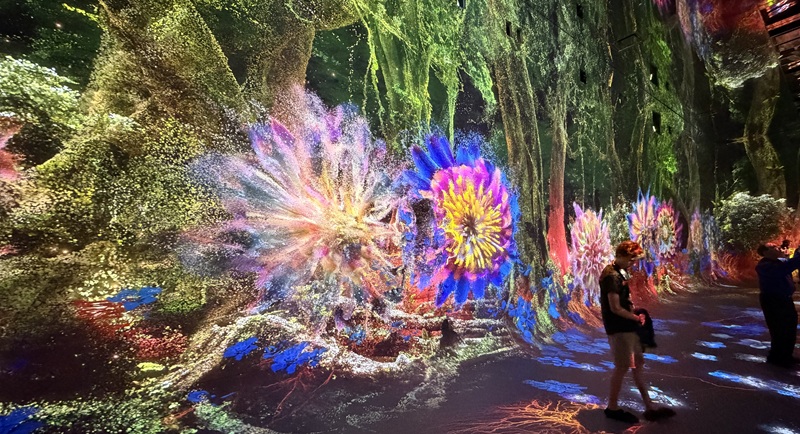 Data Pavilion at DATALAND