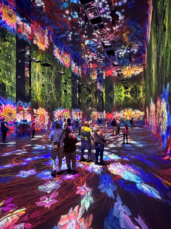 Inside of Data Pavilion, showcasing larger than life images via projection